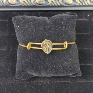 Alex & Ani Unexpected Miracles Slider Bracelet Rafaelian Gold Finish Adjustable